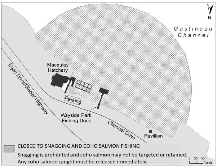 Macaulay Hatchery Area Closed to Coho Salmon Fishing